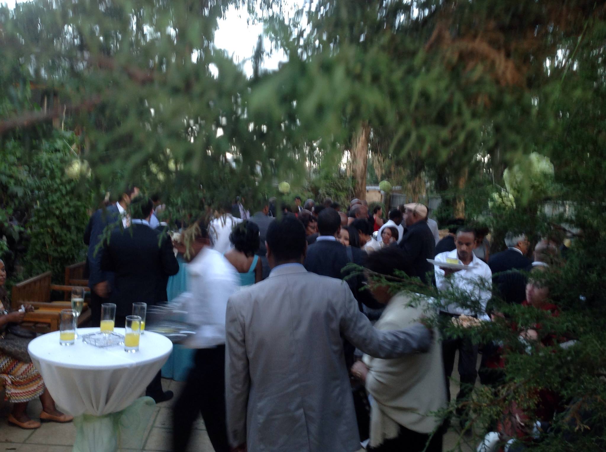 Garden gathering space