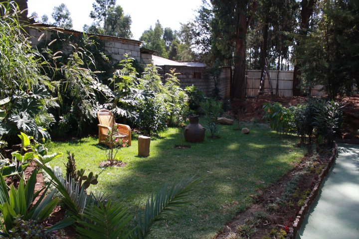Beautiful garden area with green lawn