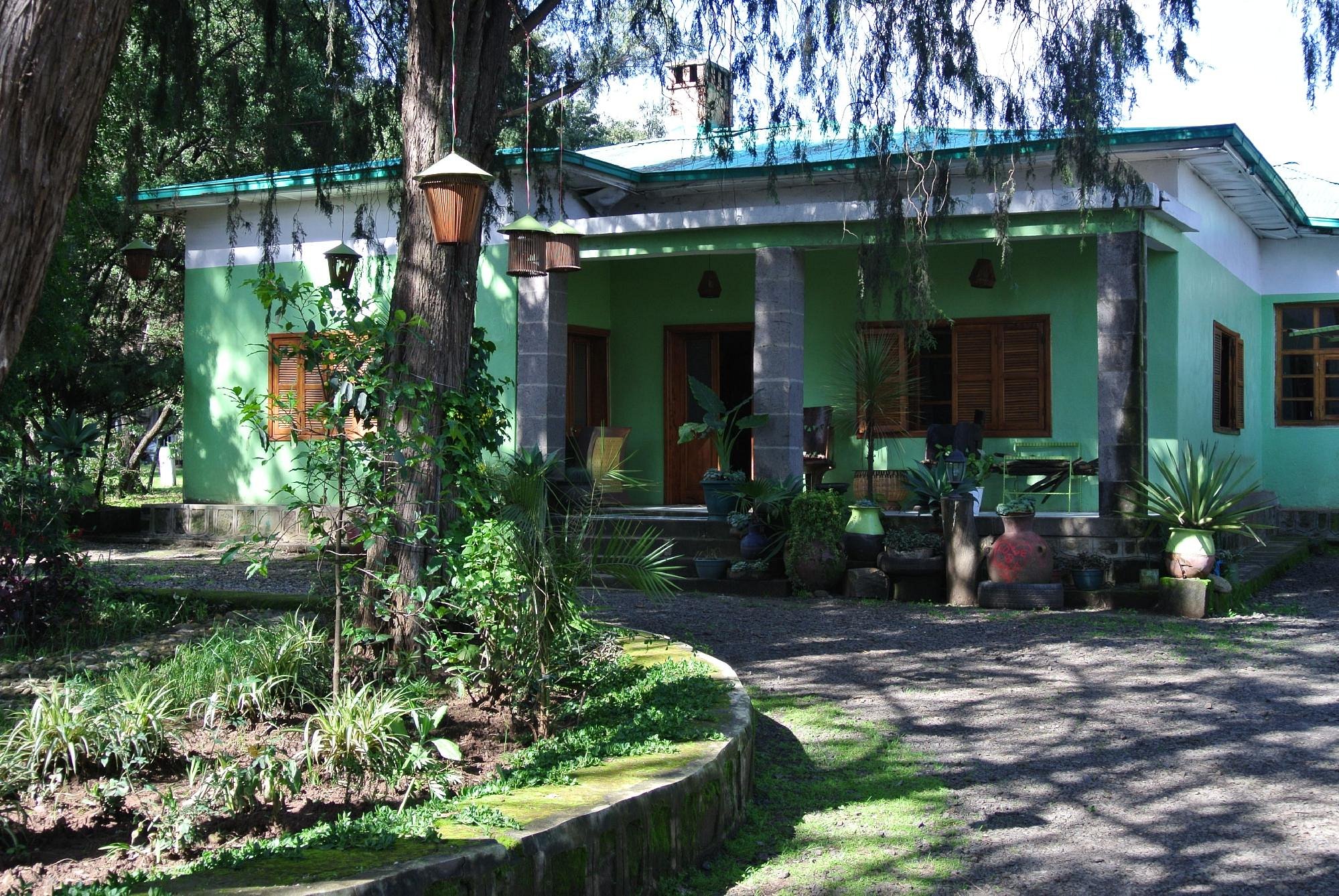 Exterior view of Abbaba's Villa showing traditional Ethiopian green architecture with wooden shutters, covered veranda, and lush tropical gardens