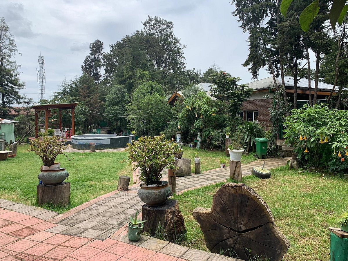 Abbaba's Villa Guest House garden compound with lush green lawns, traditional wooden seating, brick pathways, and mature trees creating a peaceful courtyard setting