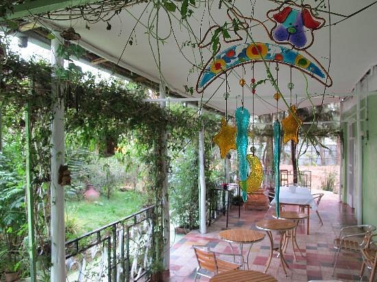 Covered outdoor terrace with lush garden views, colorful traditional Ethiopian decorative elements, and intimate seating areas creating a peaceful transition between indoor and outdoor living